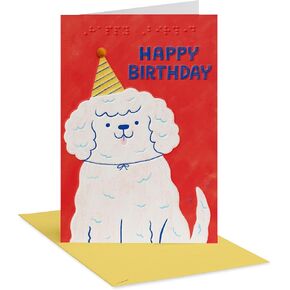 American Greetings Braille Birthday Card (How Amazing You Are)