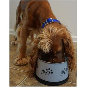 Dog Bowls Stainless Steel Non-Tip Keep Dry Long Ear Breed Food Water Dishes 30oz
