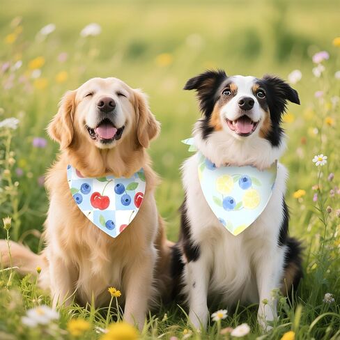 Bandanas الكلب 2 حزمة ، باندانا الحيوانات الأليفة ، العنب الليمون الكرز العصابات للكلاب ، وشاح الكلاب الفاكهة الصيفية للكلاب الصغيرة الكبيرة الكلاب الحيوانات الأليفة in Kuwait