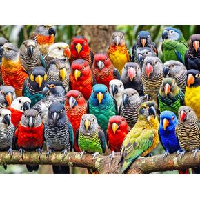 Lucky Puzzles 'Feathered Friends Fiesta' | 500 Piece Jigsaw Puzzle for Adults | Unique Bird Artwork | Best Challenging Puzzles for Cognitive Workout | 18 x 24 Inches | Fun Puzzle for Families