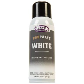 Weaver Leather Stierwalt White Powder ProTouch 10 Ounce (Pack of 1)