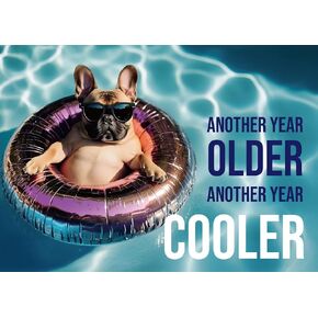Gooji Funny Birthday Card for Men - Cute Dog Birthday Card for Husband, Dad, Son, Brother, Grandpa - Humorous Card for Boyfriend, Uncle, Friend - Premium Greeting Card with Cool Bulldog Design