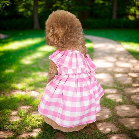 فستان الكلاب ، فساتين صيفية للكلاب مع الدانتيل ، فستان حفلة الكلاب مع مطبوعات جميلة للكلاب الصغيرة (الأزرق البحري ، XL) in Kuwait