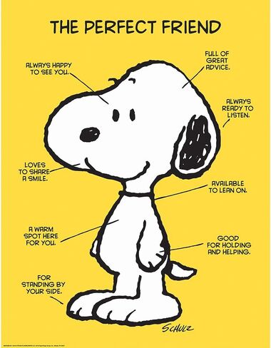 Eureka Classroom Posters, Measures: 17" x 22" - Peanuts The Perfect Friend in Saudi Arabia