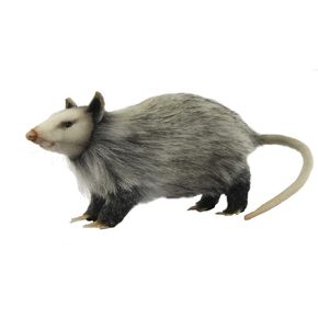 Opossum 12" (8041)
