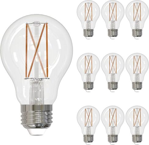 Bulbrite 776768 Light Bulb, 1 Count (Pack of 1), Clear in Saudi Arabia