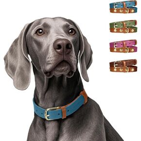 MIDOG Two-Tone Genuine Leather Dog Collar - Soft & Durable, Adjustable Rust-Proof Metal Buckle, Suitable for Small, Medium, and Large Dogs (Blue, M: 1.0" Wide for 15"-19" Neck)