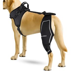 Petpanm- Adjustable Dog Knee Brace- Right Hind Leg with Integreted Harness- Premium Support for Torn ACL, Sprains & Strains Recovery, Enhances Mobility, Comfortable Neoprene.