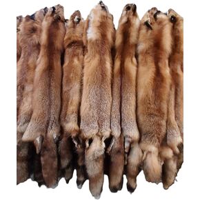 Dakotaline Furs Red Fox Pelt/Hide : (Premium Grade) : 42"-48" Length - Genuine Real Fur Pelt Tanned for Display, Decoration, Sewing, Garment, Craft