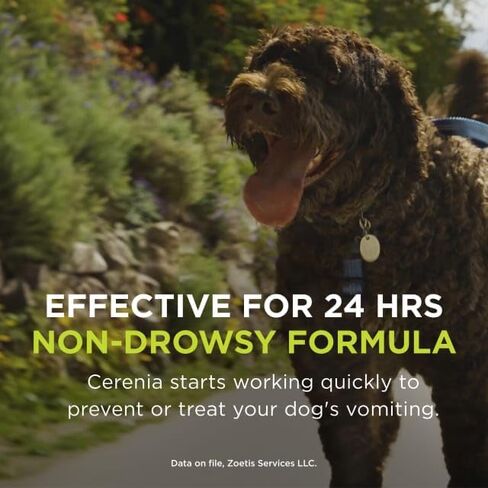 Cerenia (سترات ماروبيتانت) للكلاب ، 24 ملغ (الأرجواني) ، 4 أقراص in Saudi Arabia