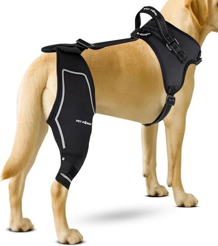 Petpanm- Adjustable Dog Knee Brace- Right Hind Leg with Integreted Harness- Premium Support for Torn ACL, Sprains & Strains Recovery, Enhances Mobility, Comfortable Neoprene. in Saudi Arabia