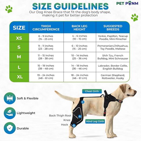 Petpanm- Adjustable Dog Knee Brace- Right Hind Leg with Integreted Harness- Premium Support for Torn ACL, Sprains & Strains Recovery, Enhances Mobility, Comfortable Neoprene. in Saudi Arabia