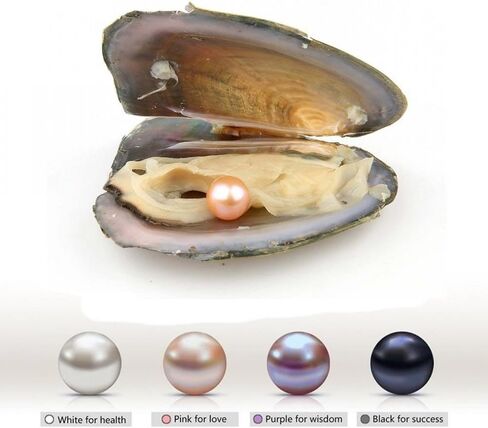 Freshwater Pearl Oyster Cultured Love Wish Round Pearls Various Shining Meaningful Color, Oysters with Pearls Inside with DIY Necklace Pearl Kit Gift for Women in Saudi Arabia