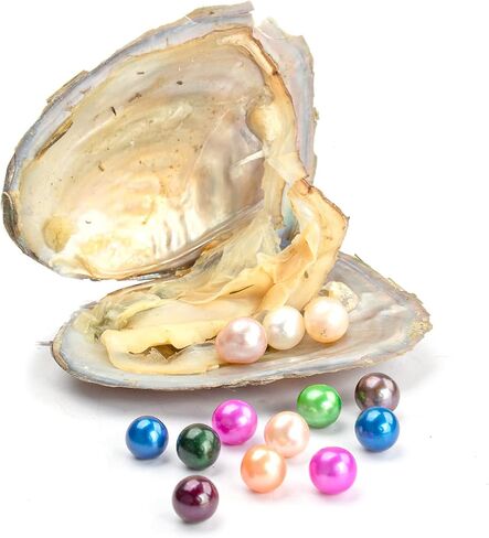 Freshwater Pearl Oyster Cultured Love Wish Round Pearls Various Shining Meaningful Color, Oysters with Pearls Inside with DIY Necklace Pearl Kit Gift for Women in Saudi Arabia