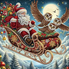 WSLWXSHM 5D Special Shape Diamond Art Kits for Beginners, Santa Claus Diamond Painting Kits for Adults, Crystal Rhinestones Diamond Painting for Home Wall Decoration Gift 12×12inch/30×30cm, Owl