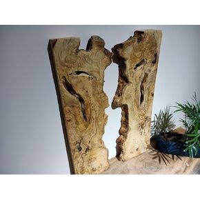 Live Edge Olive Wood Slab for DIY and Epoxy River Table, Ready for Resin, Cleared Slab by Skilled Hands (2)