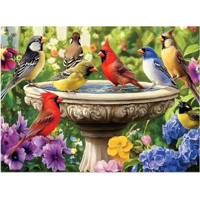 500 Piece Puzzles for Adults, Birds Jigsaw Puzzle 500 Piece for Adults Kids Seniors, Recycled Cardboard Large Piece Puzzle 500, Family Games Great Gift for Mom Dad Family Friends 20.5 x 15 in