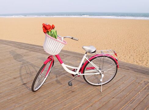 سلة الدراجة ذات المقود الأمامي للكبار من Colorbasket، مناسبة لجميع الأحوال الجوية، مقاومة للماء، أشرطة جلدية قابلة للتعديل in Kuwait