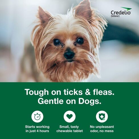 Credelio Tick & Flea الوقاية من الغش وعلاج الكلاب 50.1-100 رطل. | 6 أشهر العرض in Saudi Arabia
