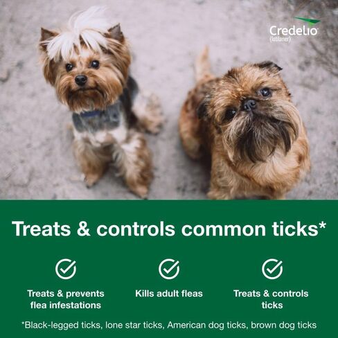 Credelio Tick & Flea الوقاية من الغش وعلاج الكلاب 50.1-100 رطل. | 6 أشهر العرض in Saudi Arabia