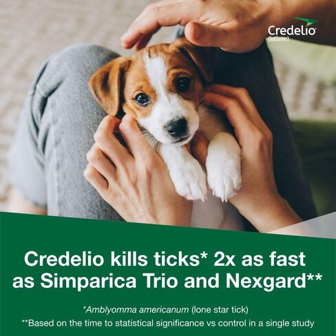 Credelio Tick & Flea الوقاية من الغش وعلاج الكلاب 50.1-100 رطل. | 6 أشهر العرض in Saudi Arabia