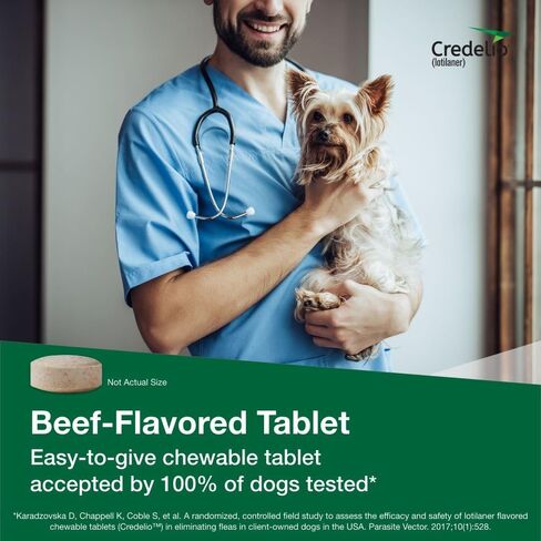 Credelio Tick & Flea الوقاية من الغش وعلاج الكلاب 50.1-100 رطل. | 6 أشهر العرض in Saudi Arabia