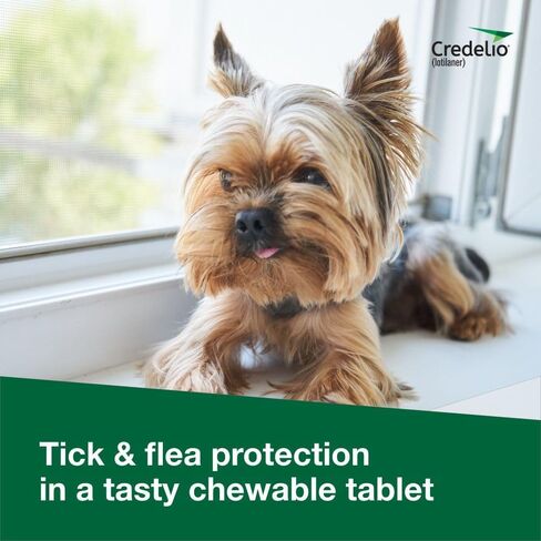 Credelio Tick & Flea الوقاية من الغش وعلاج الكلاب 50.1-100 رطل. | 6 أشهر العرض in Saudi Arabia