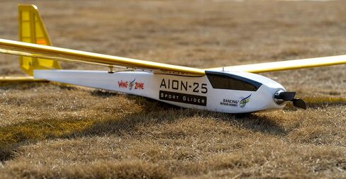 Balsa Wood Glider Plane F25 AION-25 Sailplane Kit Unassembled 2500MM (98") Wingspan Large RC Glider Sailplane F3P Model Kit to Build for Adults (KIT+ Motor+ ESC+ Servos+ Folded Prop+ Covering Film) in Saudi Arabia