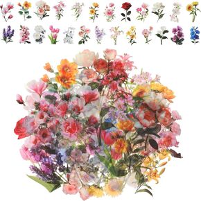 100 PCs ملصق نبات شفاف ، ملصقات زهرية للحيوانات الأليفة ، شارات الزهور في اليومية القديمة ، ملصق مزجعة مضغوط مضغوط ، ملصقات للبالغين ، بطاقات تزيين (ألوان مائية) in Kuwait