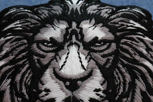 تصحيح الأسد الفضي (P7517) in Kuwait