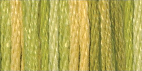 DMC Color Variations 6-Strand Embroidery Floss 8.7yd - Autumn Leaves in Saudi Arabia