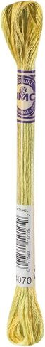 DMC Color Variations 6-Strand Embroidery Floss 8.7yd - Autumn Leaves in Saudi Arabia
