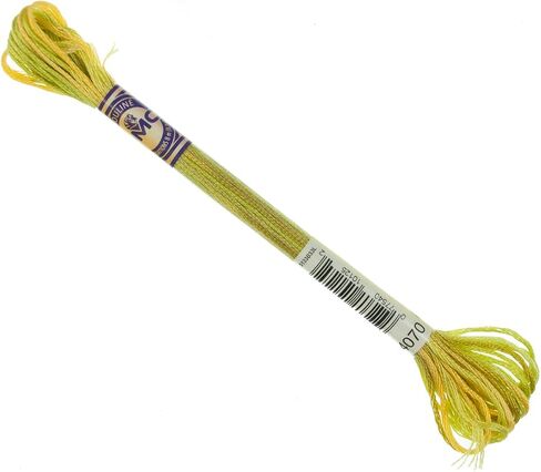 DMC Color Variations 6-Strand Embroidery Floss 8.7yd - Autumn Leaves in Saudi Arabia