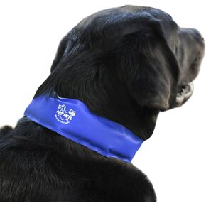 Arf Pets Dog Cooling Collar, 100% Non-Toxic Material, Relieves Heat Stress - Stays Cool for Hours