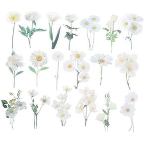 PATIKIL Transparent White Daisies Flower Vinyl Stickers, 40 Sheet Waterproof PET Flowers Decals Floral Stickers for Scrapbook Journaling Crafts DIY Water Bottles, White