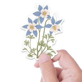 Colorado Blue Columbine Flower Sticker, Cute Flower Stickers for Hydroflask Water Bottle, Decal for Plant Moms or Nature Lovers