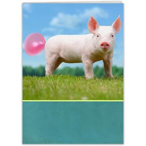 Birthday Card for Women, Men, Husband, Wife, Friends and Coworkers (Birthday Fairy)