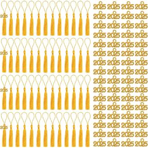 100 Pcs Mini Graduation Tassels with 100 Pcs 2025 Tassel Charms, Mini Bookmark Tassels for Graduation Cap Keychain Ornaments Tags DIY Craft Projects