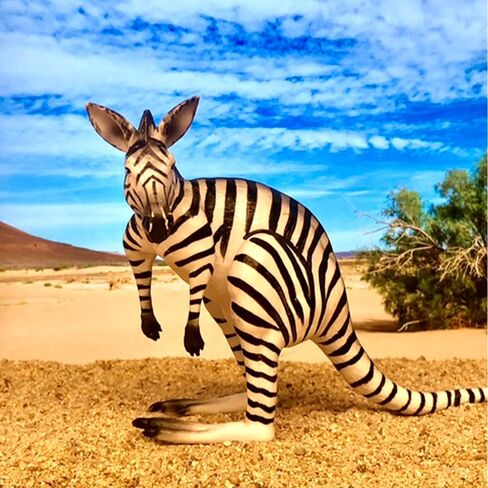 Randimals Zebra Style تمثال Kangaroo Toy 5 "، لعبة Action Action Action Hard Premium ، صديق هجين يشجع المغامرة والخيال in Kuwait
