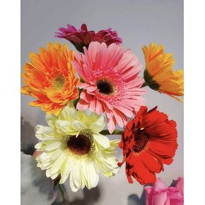 S-shine Assorted Color Mixed Four Colors Flower Pens Daisy Flower Ball Pen Ballpoint Pens Ball Point Writing Pen (1 Dozen (12pcs)) in Saudi Arabia
