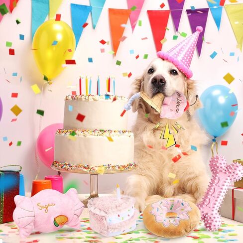 Blosssound 5 Pack Dog Birthday Toy Set Puppy Plush Squeaky Dogs Birthday Gifts Puppy Stuffed Chew Toys Cute Cake Candy Donut Ice Cream Bone Shape for Small Medium Large Breed Pet Supplies(Pink Girl) in Saudi Arabia