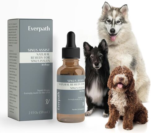 2024 Everpath Upgraded Sinus Support for Dogs - 2 Fluid Ounces/60mls | USA Made | Supports Sinus Health and Relief | Relief for Allergies, Congestion & Acute Sinusitis | Natural Solution for Pets in Kuwait