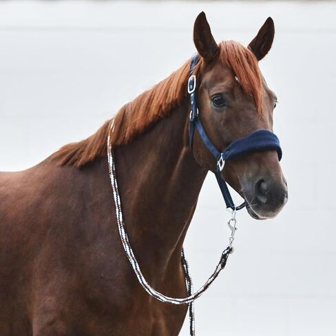 رسن حصان قابل للتعديل من HORZE Kiel مع بطانة من الصوف - كحلي داكن - حصان in Kuwait