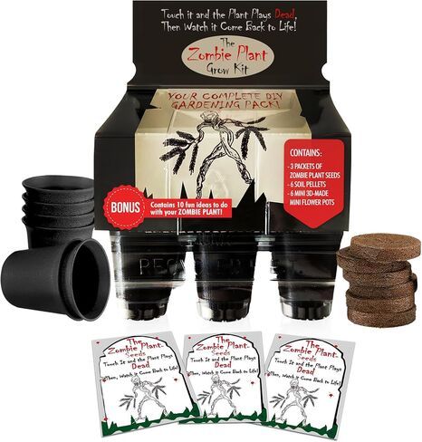 Zombie Plant Seed Packets (2) – Grow Your own Live Zombie Plant! Watch it Play Dead When Touched. Comes Back to Life in Minutes! Educational STEM, and Interactive Indoor Fun or Party Favor in Saudi Arabia