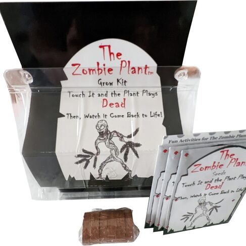Zombie Plant Seed Packets (2) – Grow Your own Live Zombie Plant! Watch it Play Dead When Touched. Comes Back to Life in Minutes! Educational STEM, and Interactive Indoor Fun or Party Favor in Saudi Arabia