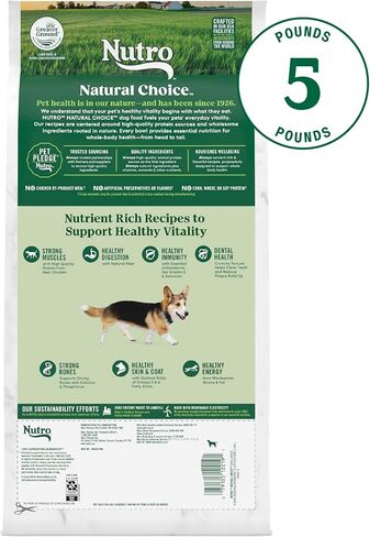 NUTRO NATURAL Choice طعام الكلاب الجاف لكبار السن من السلالات الصغيرة، وصفة الدجاج والأرز البني، طعام الكلاب، 5 رطل. in Saudi Arabia