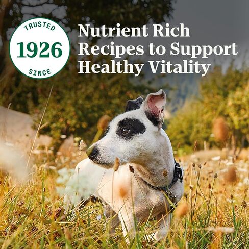 NUTRO NATURAL Choice طعام الكلاب الجاف لكبار السن من السلالات الصغيرة، وصفة الدجاج والأرز البني، طعام الكلاب، 5 رطل. in Saudi Arabia
