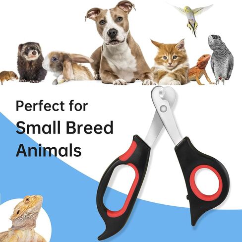 Bearded Dragon Nail Clippers,Stainless Steel Bearded Dragon Toe Nail Clippers with Precise Angled Edges,Professional Grooming Pet Tool for Reptile Nail Clippers Bearded Dragon in Saudi Arabia