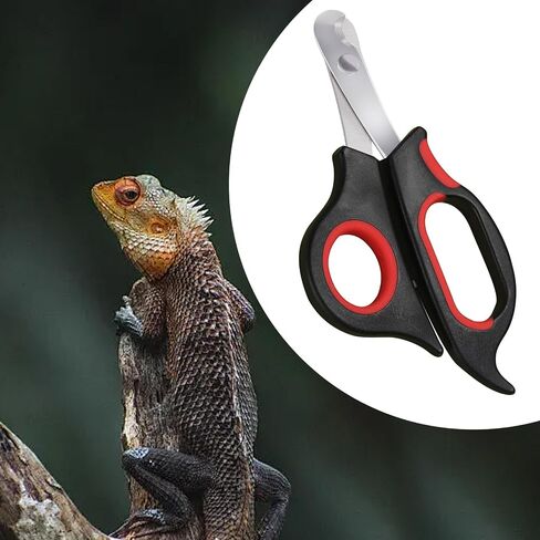 Bearded Dragon Nail Clippers,Stainless Steel Bearded Dragon Toe Nail Clippers with Precise Angled Edges,Professional Grooming Pet Tool for Reptile Nail Clippers Bearded Dragon in Saudi Arabia