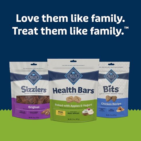 Blue Buffalo Health Bars Mini Crunchy Dog Biscuits, Oven-Baked with Natural Ingredients, Apples & Yogurt, 16-oz. Bag in Saudi Arabia